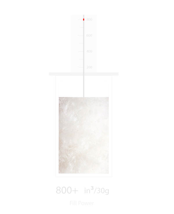 d16.png